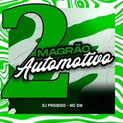 MAGRÃO AUTOMOTIVO 2