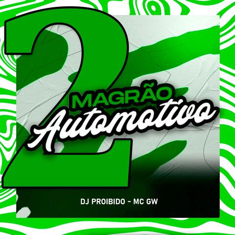 MAGRÃO AUTOMOTIVO 2