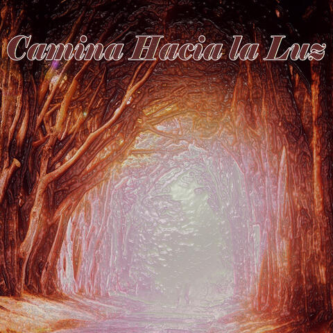 Camina Hacia la Luz