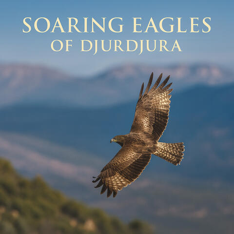 Soaring Eagles of Djurdjura