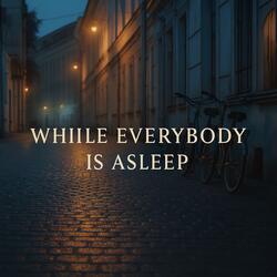 While Everybody Is Asleep