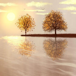 Vivaldi : Violin Concerto No.6 In C Major Op.8 RV.180 'Il Piacere' – I. Allegro Part 2 with burning Campfire Sound