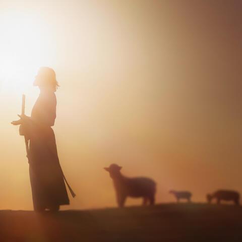 Salmo - É feliz quem a Deus se confia