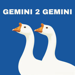 Gemini 2 Gemini