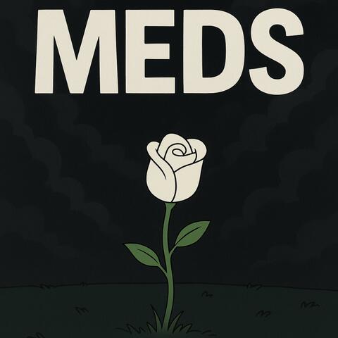 MEDS