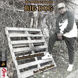 Big Dog