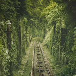 믿지 못한 (To Believe)