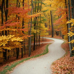 Reason, Season, Lifetime