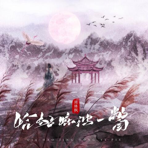 恰好惊鸿一瞥