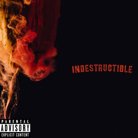 INDESTRUCTIBLE