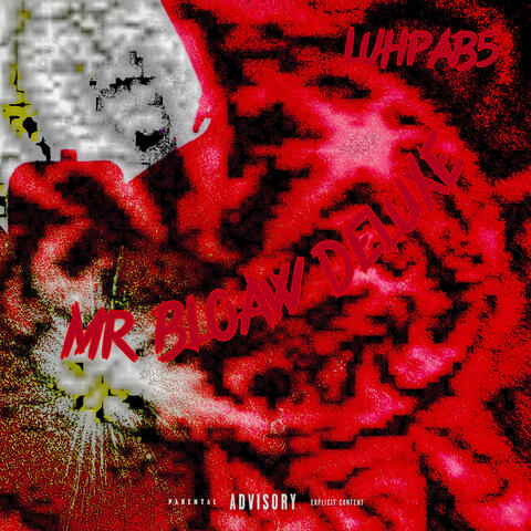 MR BLOAW DELUXE