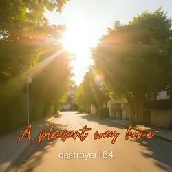 A pleasant way home