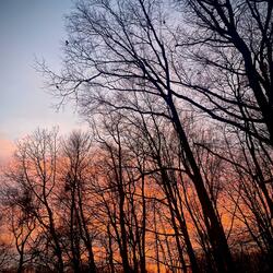 STILL POURIN SPRITE!!