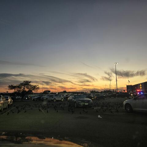 Though I Knew Who You Were