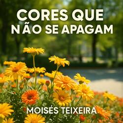 CORES QUE NÃO SE APAGAM