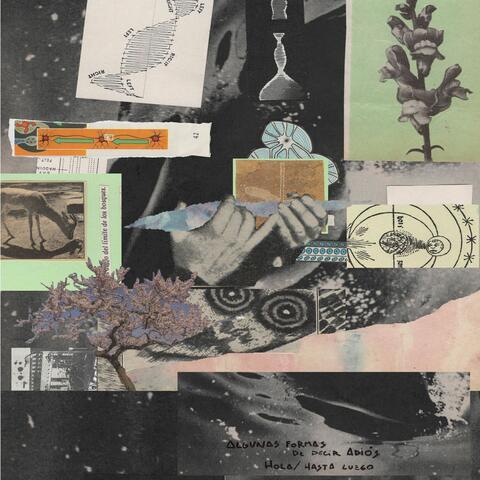 algunas formas de decir adiós, hola, hasta luego