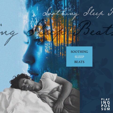 Soothing Sleep Beats
