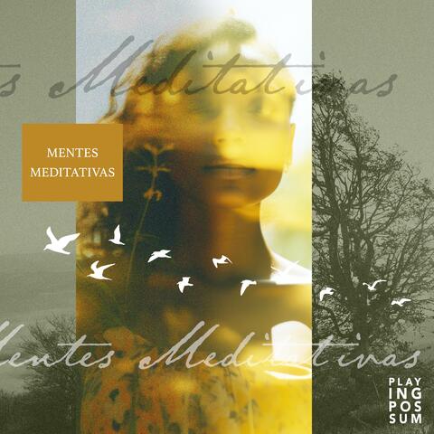 Mentes Meditativas