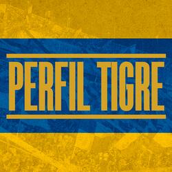 Perfil Tigre