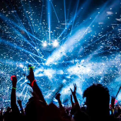 What Do You Ducking Want