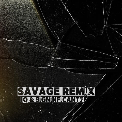 Savage Remix