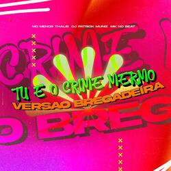 TU É O CRIME MERMO VERSÃO BREGADEIRA