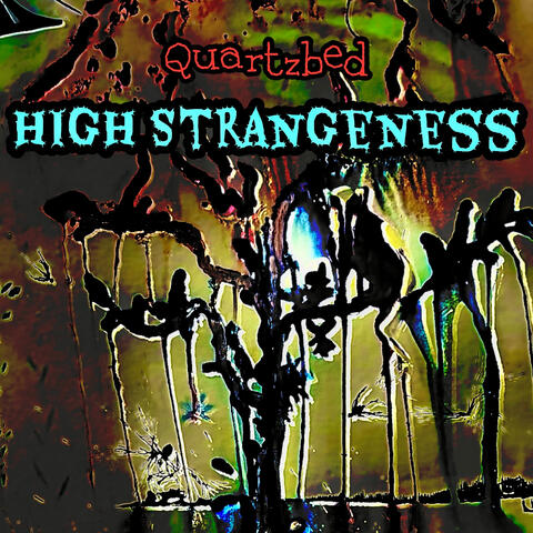 High Strangeness