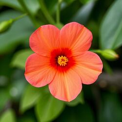 The Agonizing Politeness of the Defeated