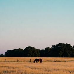 Dusty Roads and City Lights