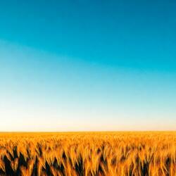 Another Mile to Roam Leaving Worries