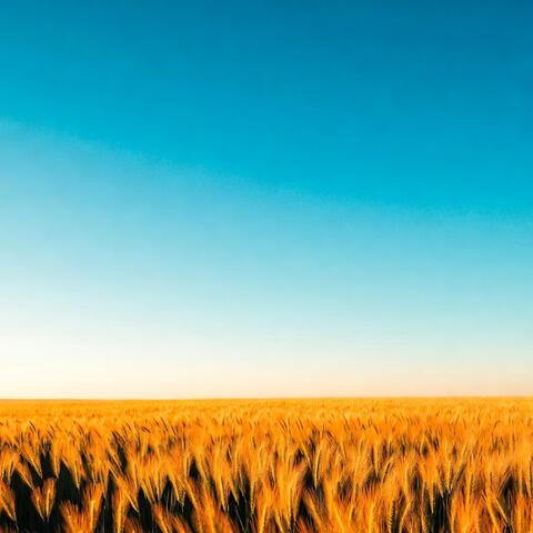 Another Mile to Roam Leaving Worries