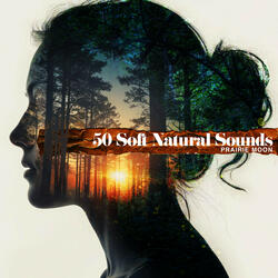 Wading Through the Lake