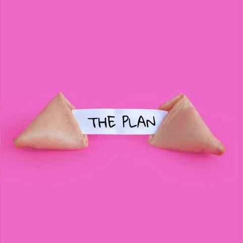 The Plan