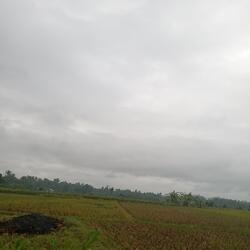 Kamu Mengertikan Aku