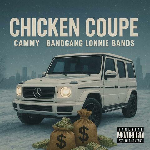 Chicken Coupe