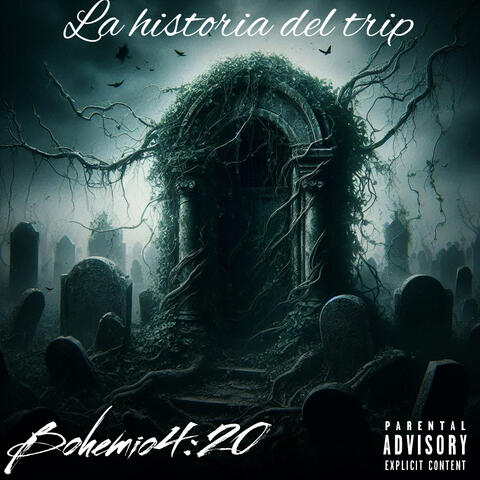 La Historia del Trip