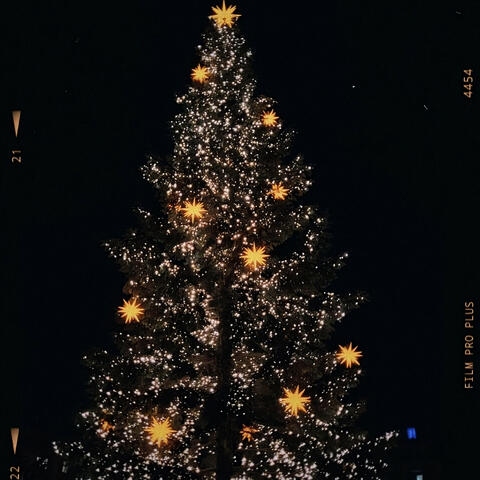 Golden Sleigh / Best Time of Year