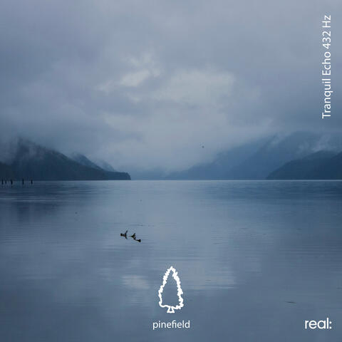 Tranquil Echo 432 Hz