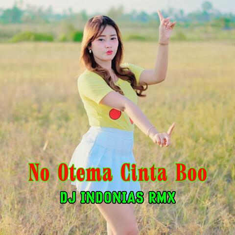No Otema Cinta Boo