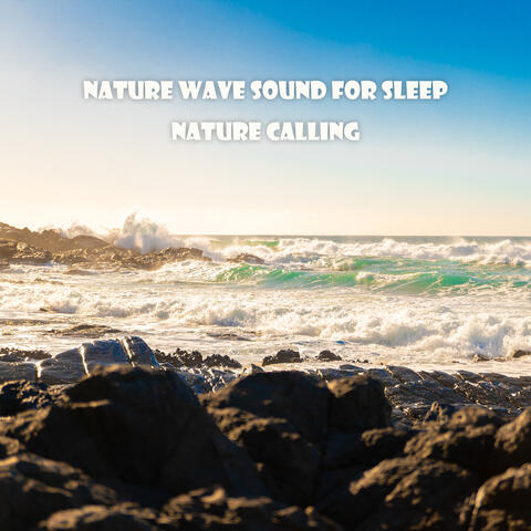 Nature Wave Sound For Sleep