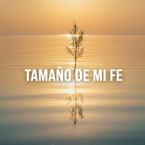 Tamaño de Mi Fe