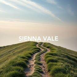 The Dancing Helmet in the Laundry Basket