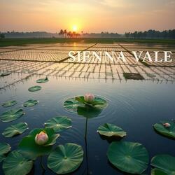 The Daydreaming Paintbrush in a Blender