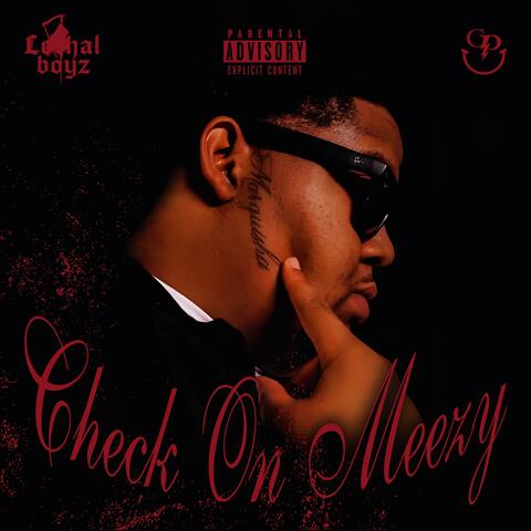 Check On Meezy