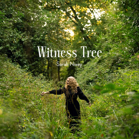 Witness Tree