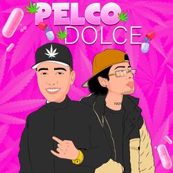 Pelco dolce