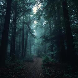 DE LA TIERRA AL CIELO 2