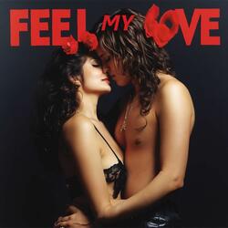 Feel My Love