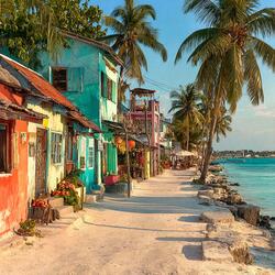 Something in the Water