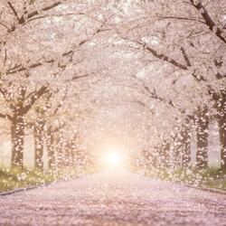 A new wind carries you.